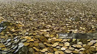 佛山贷款还款方式全解析：助您轻松规划还款之路 海报