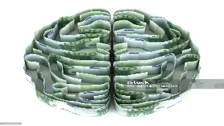 佛山小伙的翻身记：一场关于贷款与梦想的酣畅淋漓的“翻身仗” poster