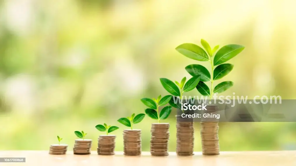 佛山金融人物画像