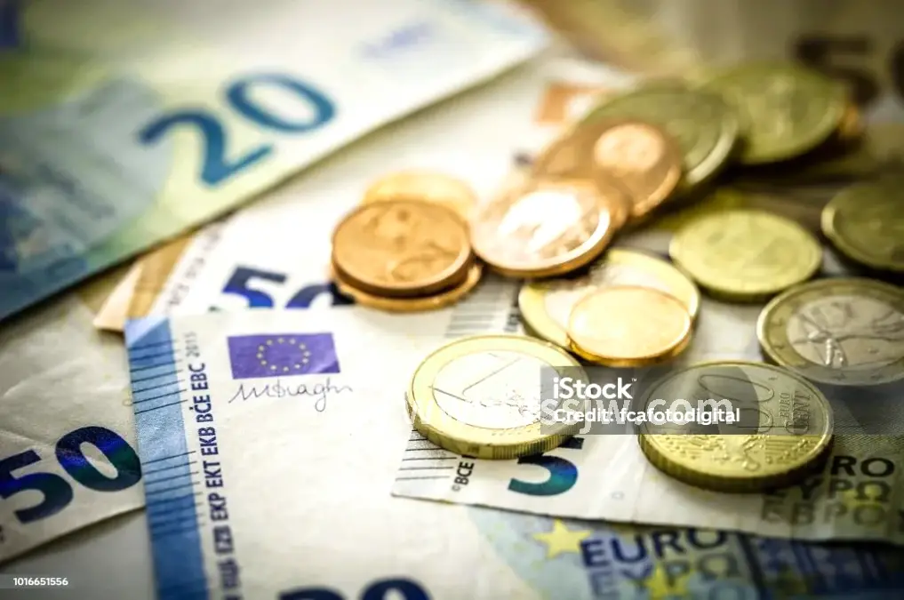 使用贷款购买商品的女性