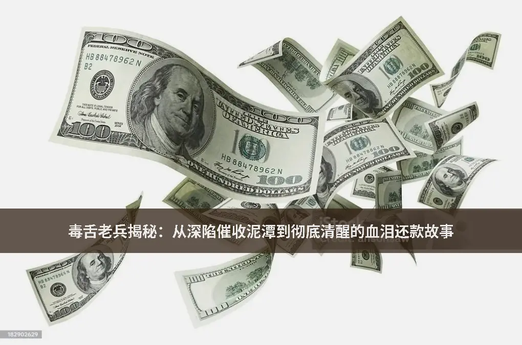 上岸故事