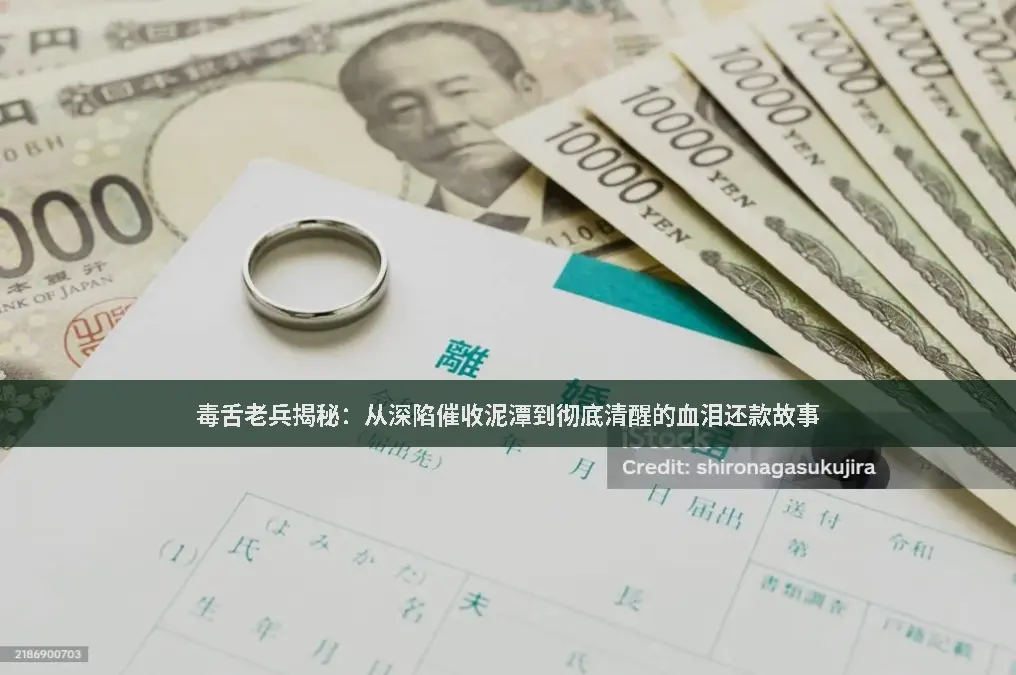 上岸故事